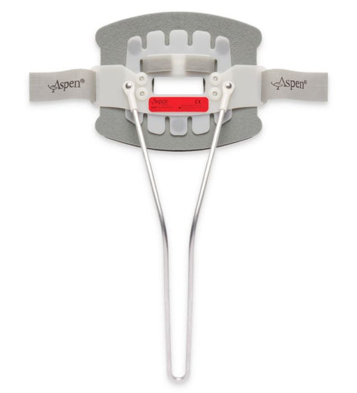 Aspen CTO Back Panel - Small