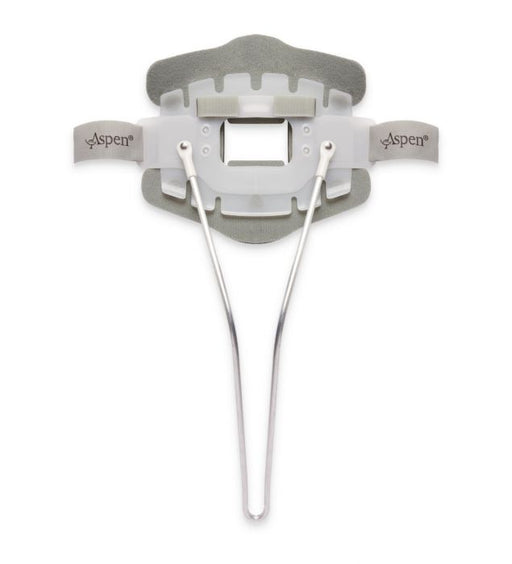Aspen CTO Back Panel - Standard