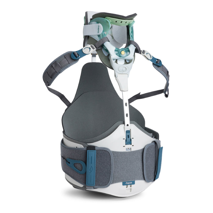 Vista II CTLSO — Promedics Orthopaedics