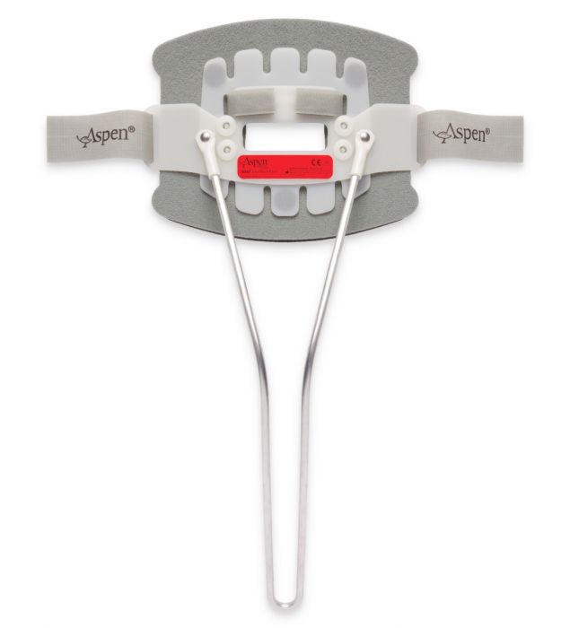 Aspen CTO Back Panel - Small