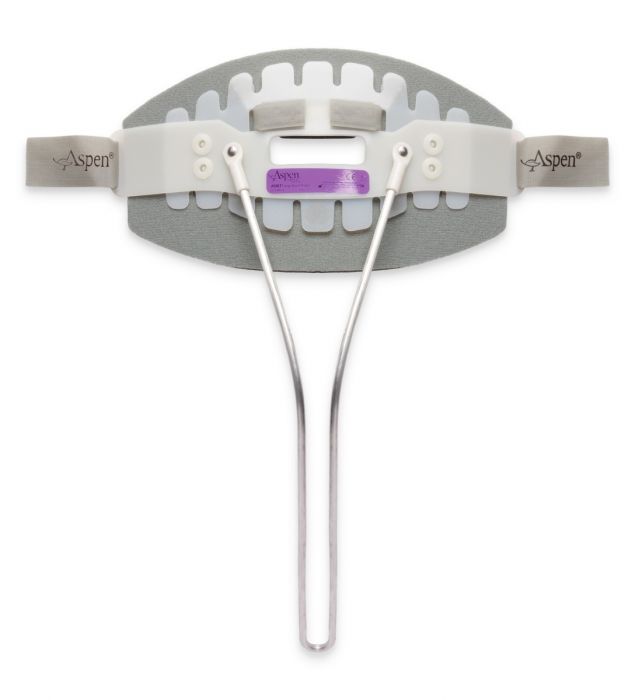 Aspen CTO Back Panel - Large — Promedics Orthopaedics