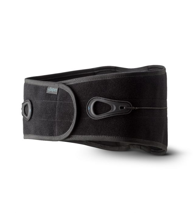 Aspen Lumbar Support